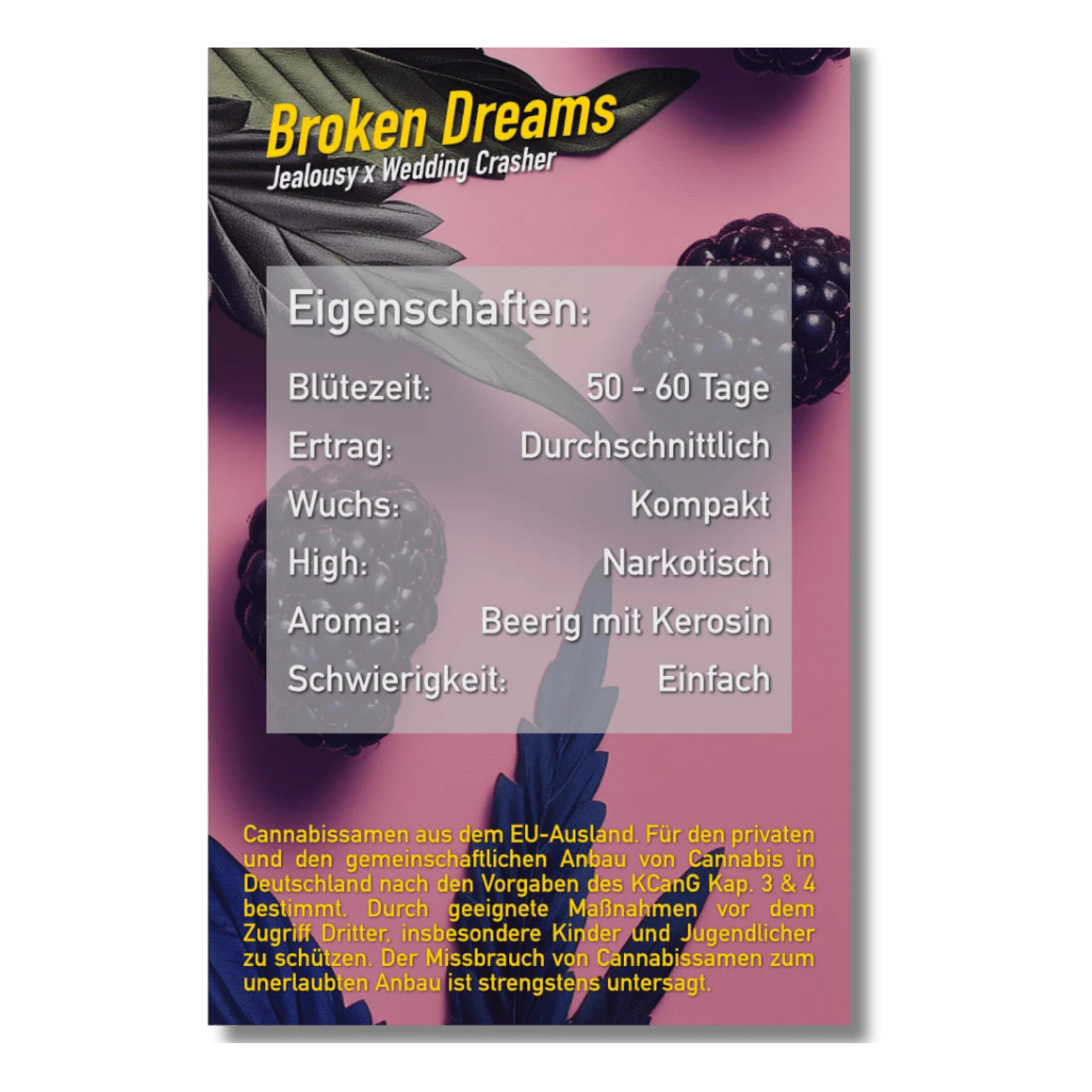 Broken Dreams Details