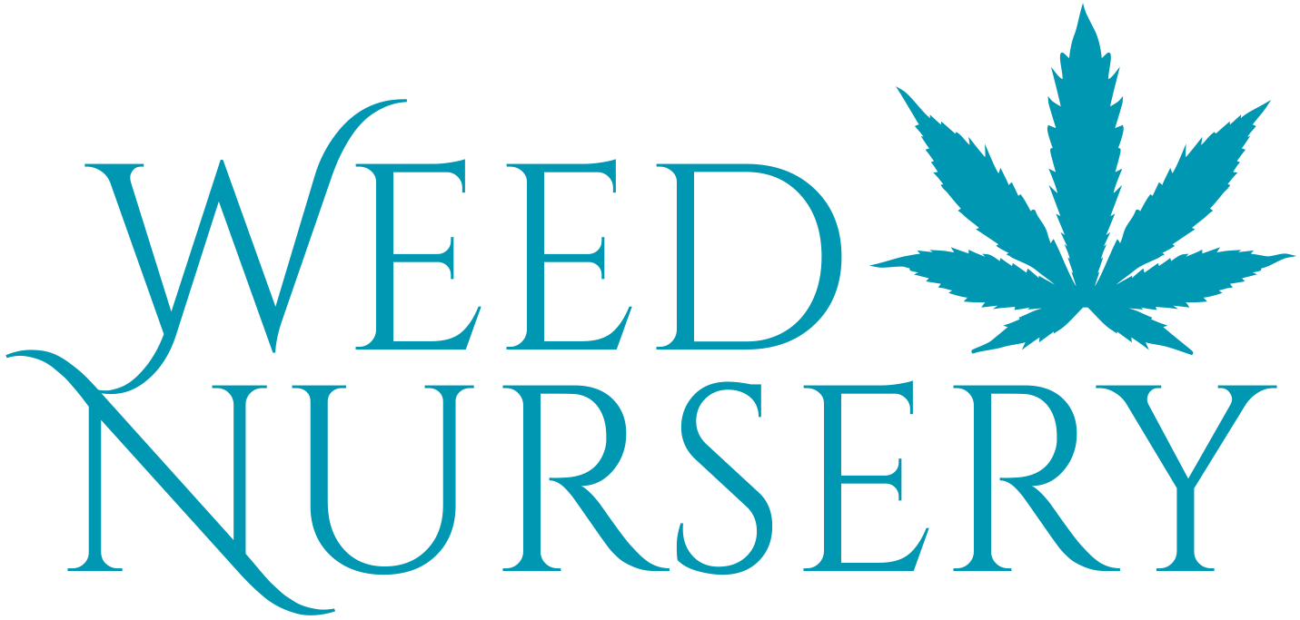 Zur Startseite gehen