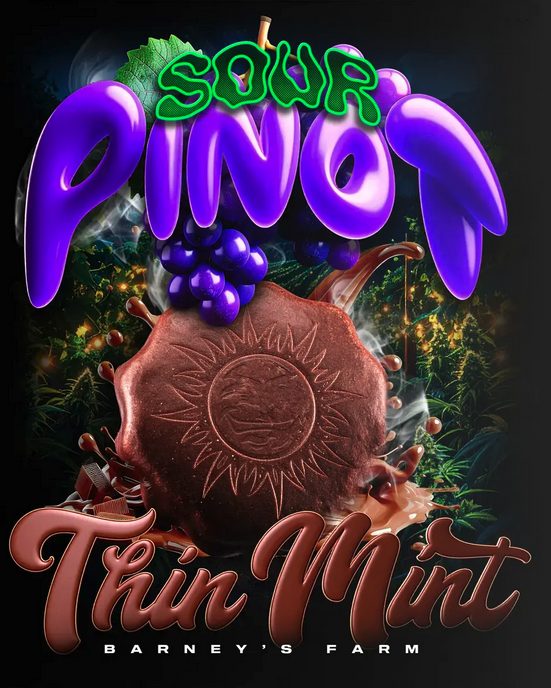 Thin Mint x Sour Pinot Auto Barneys Farm