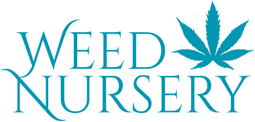 Zur Startseite gehen