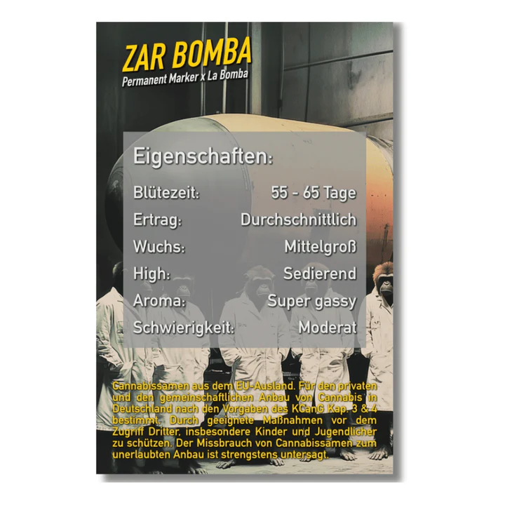Zar Bomba Details